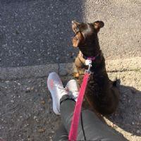 Profile picture for user Celiaarroyo