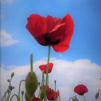 Profile picture for user GeorgiaAng