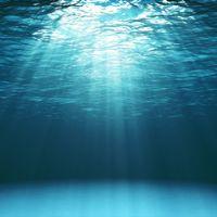 Profile picture for user natdag