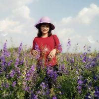 Profile picture for user vuthithuha1980