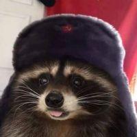 Profile picture for user InmaskWarrior