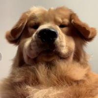 Profile picture for user Suphapit