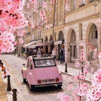 Profile picture for user TNschatz