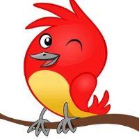 Profile picture for user Paxaro