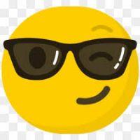 SÍLVIA ALEXANDRA MOREIRA GOMES CASTRO PEREIRA