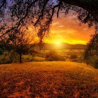 Profile picture for user Joan1985