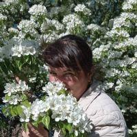 Profile picture for user Olga5