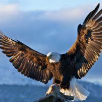 Profile picture for user betocast