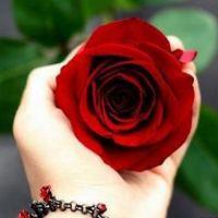 Profile picture for user Irysyahila