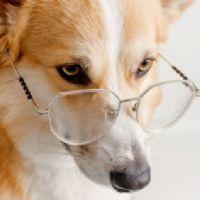 Profile picture for user PatitoAaron