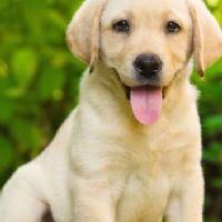 Profile picture for user Kirema