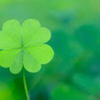 Profile picture for user PhamThanhHien