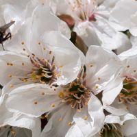 Profile picture for user GarmashSvitlana