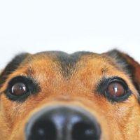 Profile picture for user crismunoa