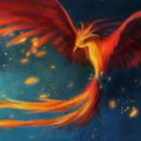 Profile picture for user Momosan