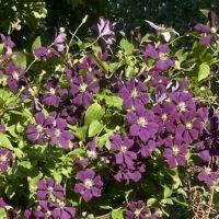 Profile picture for user Anab000