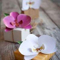 Profile picture for user Teacher1231111111