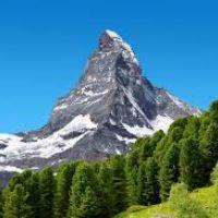 elena susana zarate piles