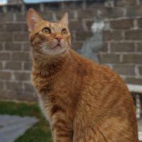 Profile picture for user ElianaSpina