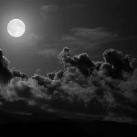 Profile picture for user rickyazrofi