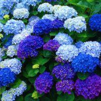 Profile picture for user AliciaCB