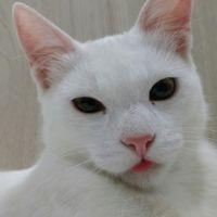 Profile picture for user jubi_mmy