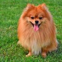 Ivan Martinez Garcia