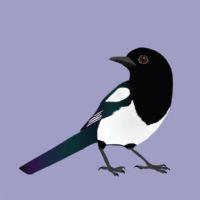 Profile picture for user patriciaenglish104