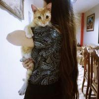 Johanna Murillo Alvarado