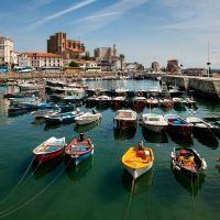 Profile picture for user argenta1c