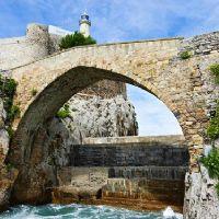 Profile picture for user argenta2c