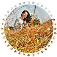 Profile picture for user elvictory93