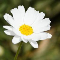 Profile picture for user omneyat