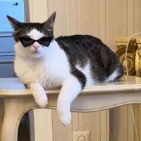 Profile picture for user giovannaantilao