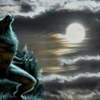 Profile picture for user Lobishome_Romasanta