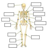 SIGRID FERRER RODRÍGUEZ