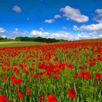 Profile picture for user lucecitato