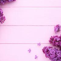 Profile picture for user miran