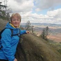 Profile picture for user misafarska