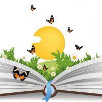 Profile picture for user Maira2402