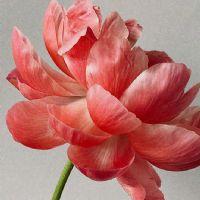 Profile picture for user NganHa002