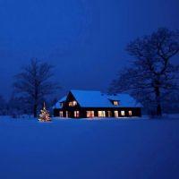 Profile picture for user RosaVegas