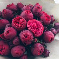 Profile picture for user okrusir