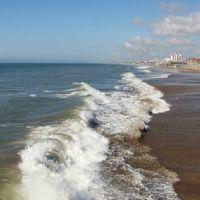 Profile picture for user Jasi