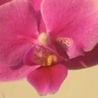 Profile picture for user analrm23