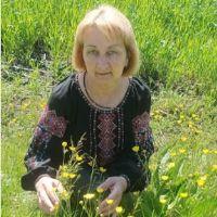 Profile picture for user HoncharovaIryna