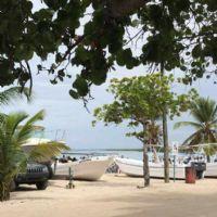 Profile picture for user Rach0027