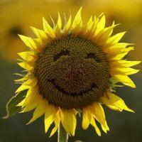 Mariquena Valenzuela