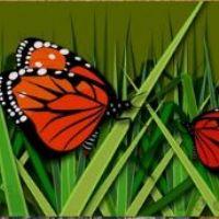 Profile picture for user chepti