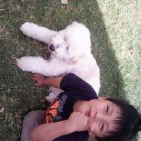 MIREYA BONILLA CALAPI